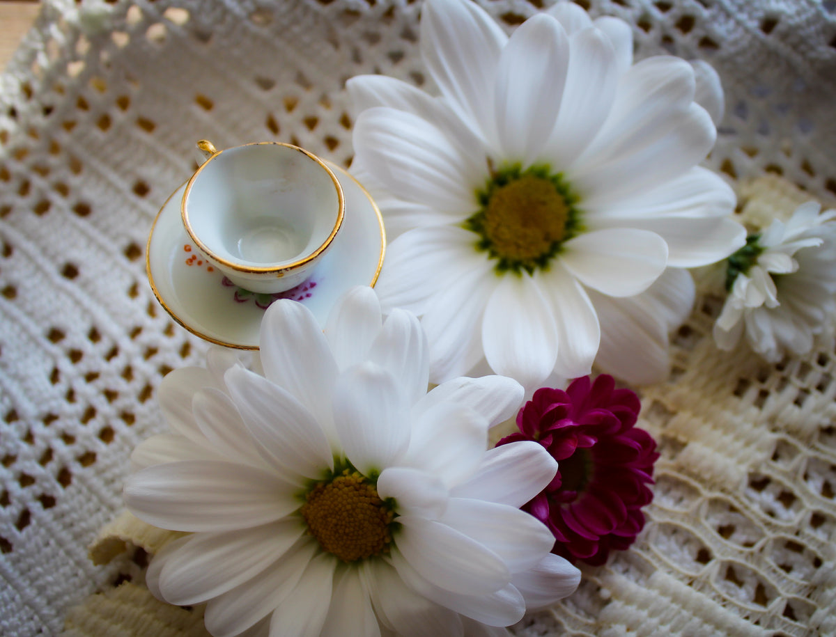 Large Teacup Rings